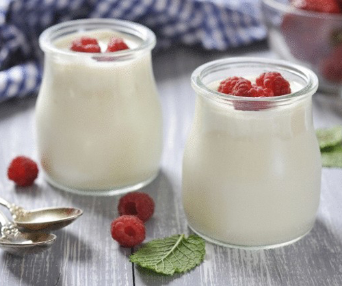 Купить  Протеин  Prime  Kraft  500  грамм  йогурт