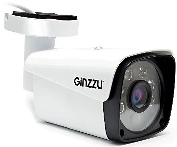 IP-камера Ginzzu HIB-5301A