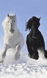 Инфракрасный обогреватель БРТЗ 19с427