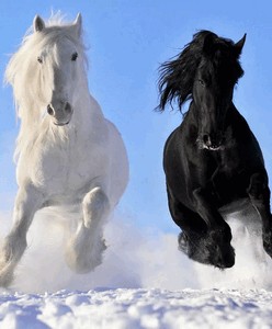 Инфракрасный обогреватель БРТЗ Дыхание тепла Пегас