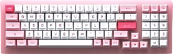 Клавиатура Akko ACR 98 Mini Prunus Lannesiana