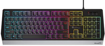 Клавиатура Genesis Rhod 300 RGB