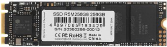 SSD AMD Radeon R5 256GB R5M256G8