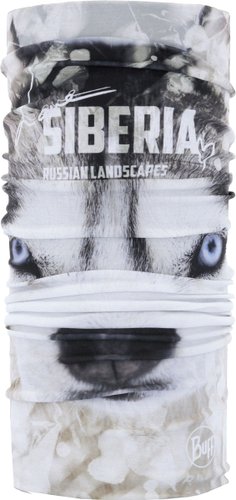 Шарф (бафф) Buff Original Siberia 135036.000.10.00