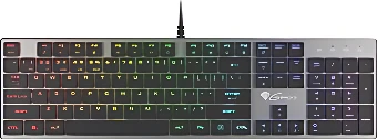 Клавиатура Genesis Thor 420 RGB