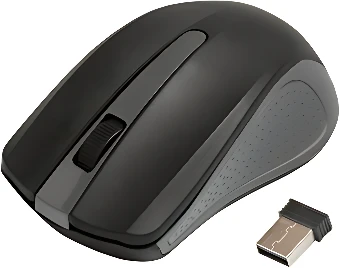 Мышь Ritmix RMW-555