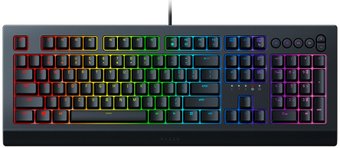 Клавиатура Razer Cynosa v2