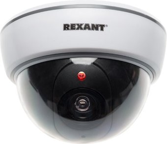 IP-камера Rexant 45-0210