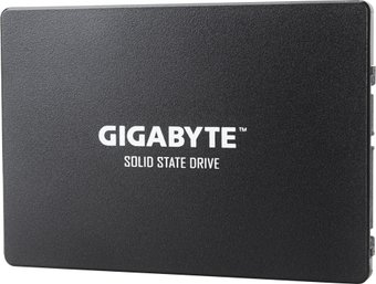 SSD Gigabyte 256GB GP-GSTFS31256GTND