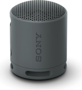 Беспроводная колонка Sony XB100 (черный)