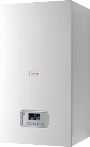 Отопительный котел Protherm Ray (Скат) 21 KE /14 0010023651