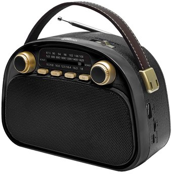 Радиоприемник Ritmix RPR-040 (черный)