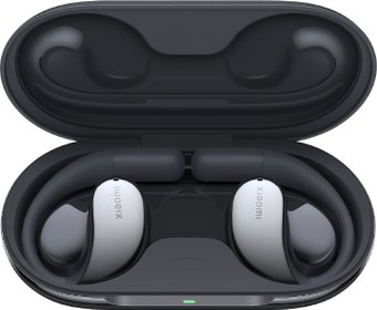 Наушники Xiaomi OpenWear Stereo M2319E1 (серый космос, международная версия)