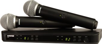 Радиосистема Shure BLX288E/PG58 M17
