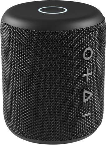 Беспроводная колонка Niceboy Raze 3 Guru