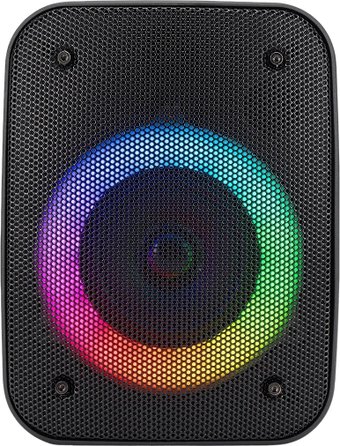 Беспроводная колонка Hyundai H-PS1005