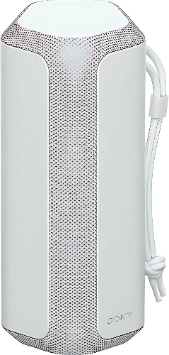 Беспроводная колонка Sony SRS-XE200 (серый)