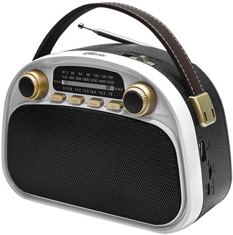 Радиоприемник Ritmix RPR-040 (белый)