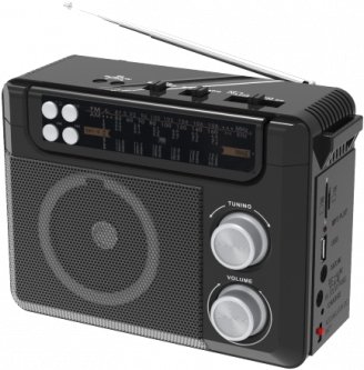 Радиоприемник Ritmix RPR-200 (черный)