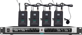 Радиосистема DSPPA D5842