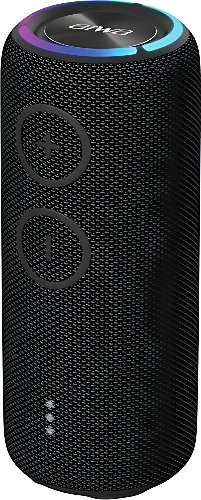 Беспроводная колонка Aiwa PAS-H300 (черный)