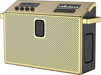 Беспроводная колонка Defunc Mondo BT Speaker Large (латунный)