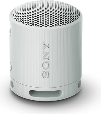 Беспроводная колонка Sony XB100 (светло-серый)