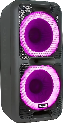 Патибокс Eltronic 20-14 Dance Box 300