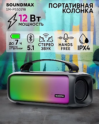 Беспроводная колонка Soundmax SM-PS5021B (черный)
