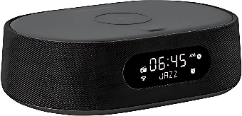 Умная колонка Harman/Kardon Citation Oasis (черный)