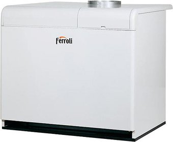Отопительный котел Ferroli Pegasus F3 N 2S 255