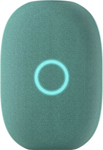 Умная колонка VK Капсула (хвойный зеленый)