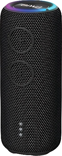 Беспроводная колонка Aiwa PAS-H200 (черный)