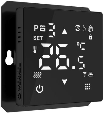 Терморегулятор Werkel W1151208 a056754 (черный)