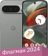 Телефон Google Pixel 9 Pro 16GB/512GB (лесной орех)