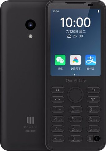 Телефон QIN F21 Pro 3GB/32GB (международная версия, черный)