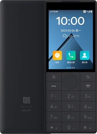 Телефон QIN F22 3GB/32GB (международная версия, черный)