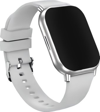 Умные часы Borofone BD11 (серебристый)