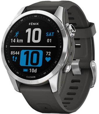 Умные часы Garmin Fenix 7S (серебристый/графитовый)