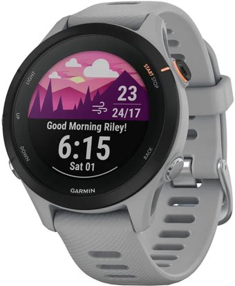 Умные часы Garmin Forerunner 255S (светло-серый/черный)