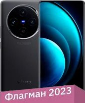 Телефон Vivo X100 16GB/512GB международная версия (черный астероид)
