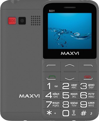 Телефон Maxvi B231 (серый)