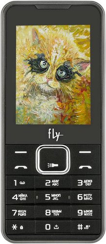 Телефон Fly FF243 Black