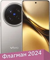 Телефон Vivo X200 Pro 16GB/512GB международная версия (титан)