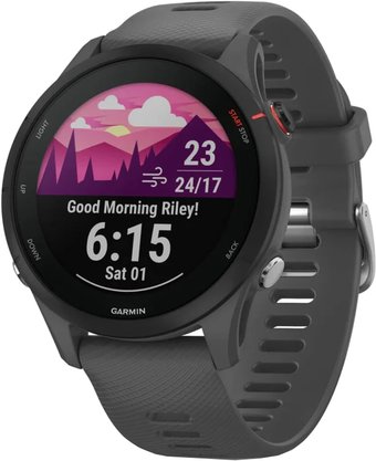 Умные часы Garmin Forerunner 255 (сланцево-серый/черный)