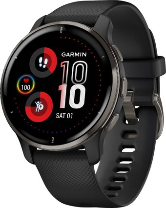 Умные часы Garmin Venu 2 Plus (черный)
