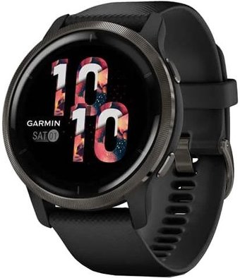 Умные часы Garmin Venu 2 (сланцевая нержавеющая сталь/черный)