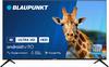 Blaupunkt 43UB6000
