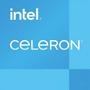 Intel Celeron G6900 (OEM)