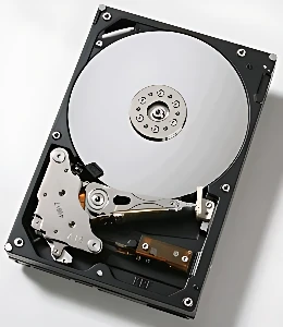 Hitachi HDS721616PLA380 1160 Gb